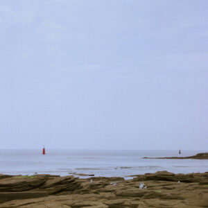 Pellicule couleur Candido Collective 400 ISO